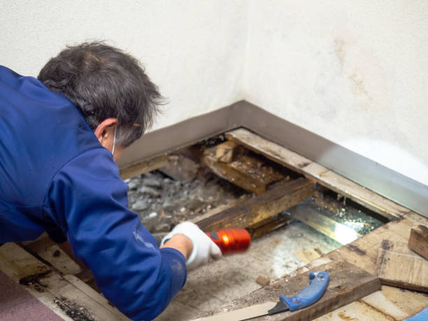 Best HVAC Mold Remediation in Dover Beaches South, NJ