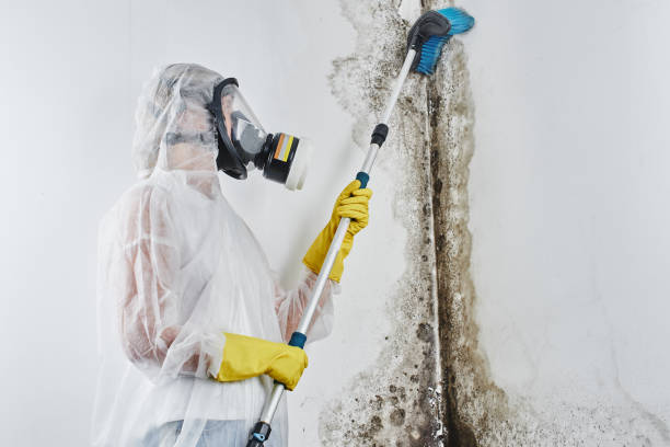 Best Mold Testing and Inspection Services in Dover Beaches South, NJ