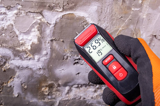 Best Post-Flood Mold Remediation in Dover Beaches South, NJ