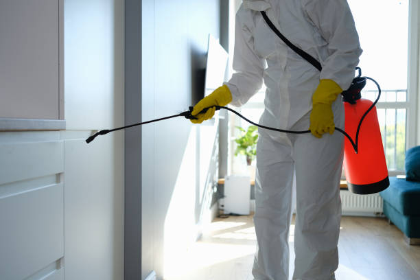 Best Industrial Mold Remediation in Dover Beaches South, NJ
