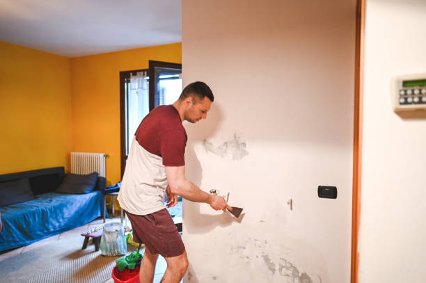 Best Insurance-Related Mold Remediation in Dover Beaches South, NJ